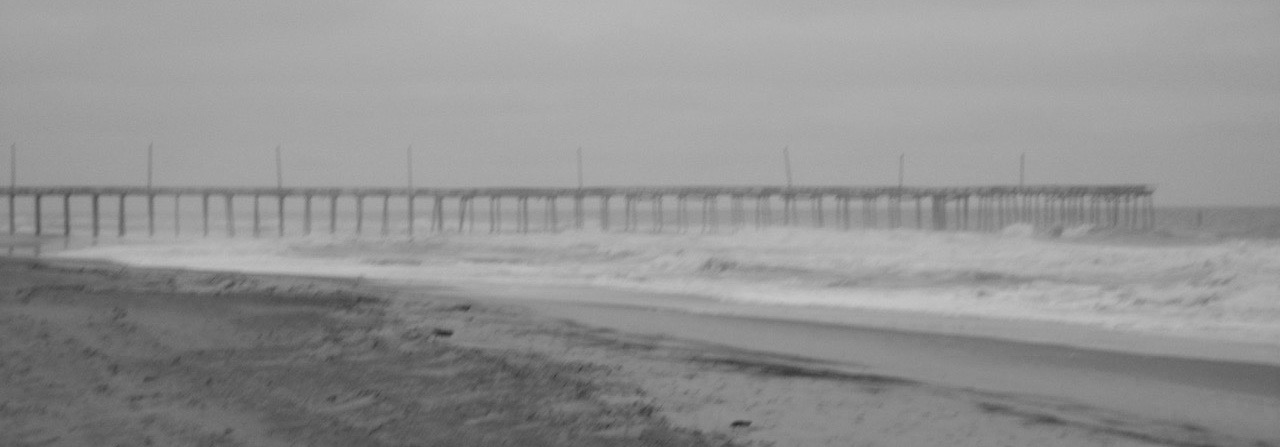 an image with no alt text